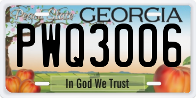 GA license plate PWQ3006
