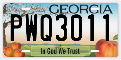 GA license plate PWQ3011