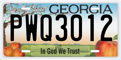 GA license plate PWQ3012