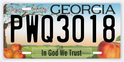 GA license plate PWQ3018