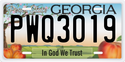 GA license plate PWQ3019