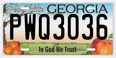 GA license plate PWQ3036