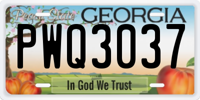GA license plate PWQ3037