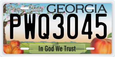 GA license plate PWQ3045
