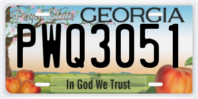 GA license plate PWQ3051