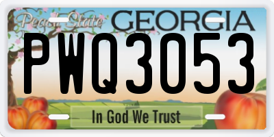 GA license plate PWQ3053