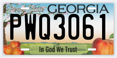GA license plate PWQ3061
