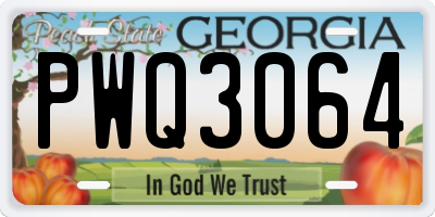 GA license plate PWQ3064
