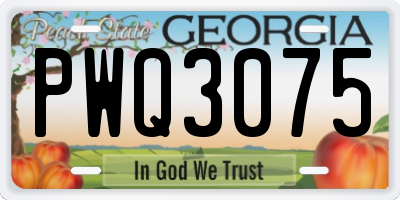 GA license plate PWQ3075