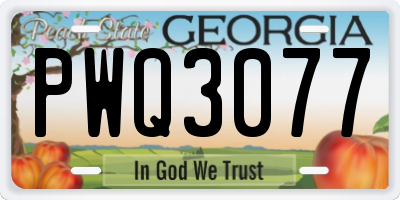 GA license plate PWQ3077