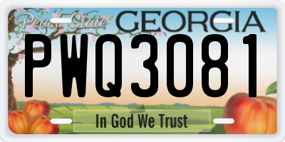 GA license plate PWQ3081