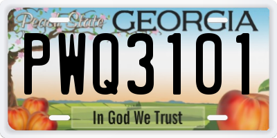 GA license plate PWQ3101