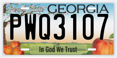 GA license plate PWQ3107