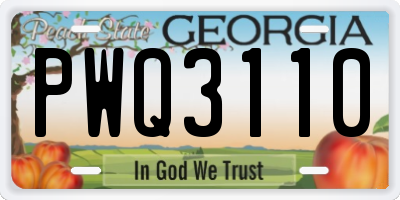 GA license plate PWQ3110