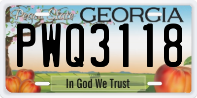 GA license plate PWQ3118