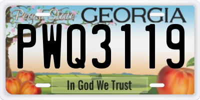 GA license plate PWQ3119
