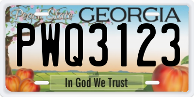 GA license plate PWQ3123