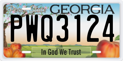GA license plate PWQ3124