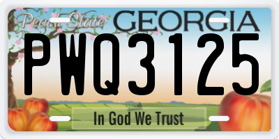 GA license plate PWQ3125
