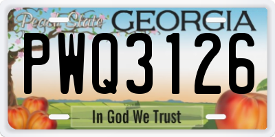 GA license plate PWQ3126