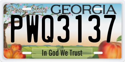 GA license plate PWQ3137