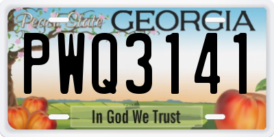 GA license plate PWQ3141