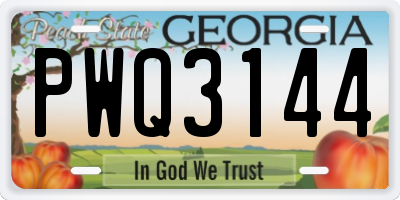GA license plate PWQ3144