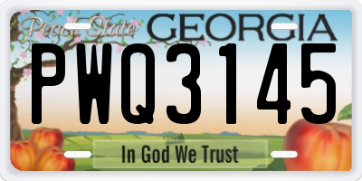GA license plate PWQ3145