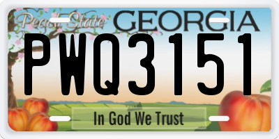 GA license plate PWQ3151