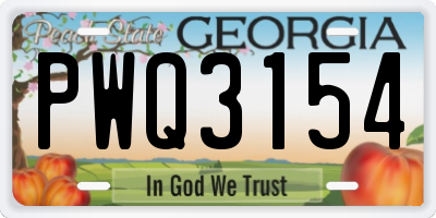 GA license plate PWQ3154