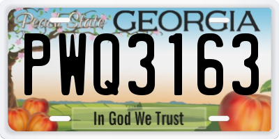 GA license plate PWQ3163