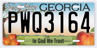 GA license plate PWQ3164
