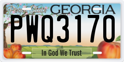 GA license plate PWQ3170