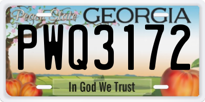 GA license plate PWQ3172