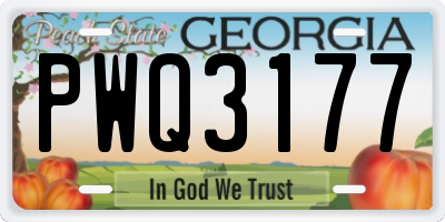 GA license plate PWQ3177