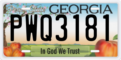 GA license plate PWQ3181
