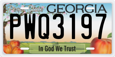 GA license plate PWQ3197