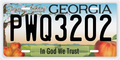 GA license plate PWQ3202
