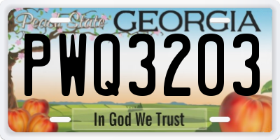 GA license plate PWQ3203
