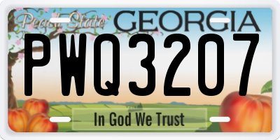 GA license plate PWQ3207