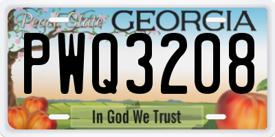 GA license plate PWQ3208