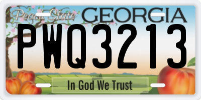 GA license plate PWQ3213