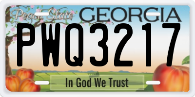 GA license plate PWQ3217