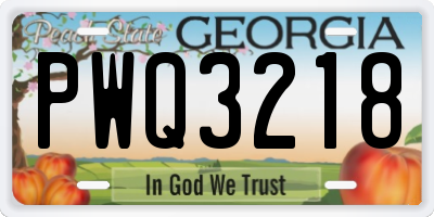 GA license plate PWQ3218