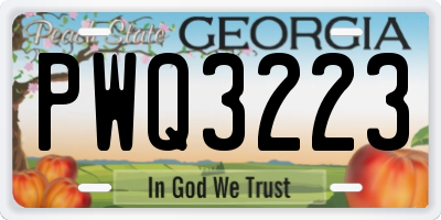 GA license plate PWQ3223