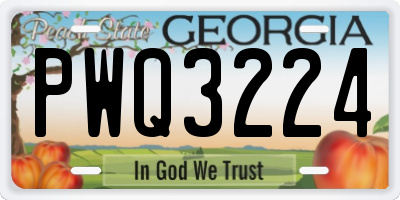 GA license plate PWQ3224