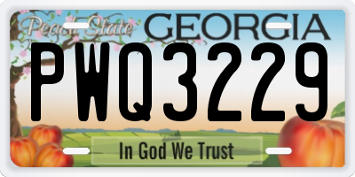 GA license plate PWQ3229