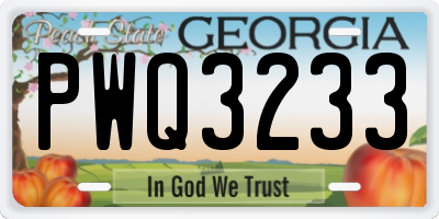 GA license plate PWQ3233