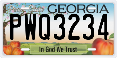 GA license plate PWQ3234