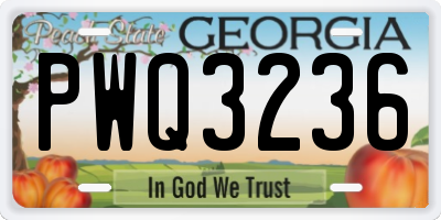 GA license plate PWQ3236